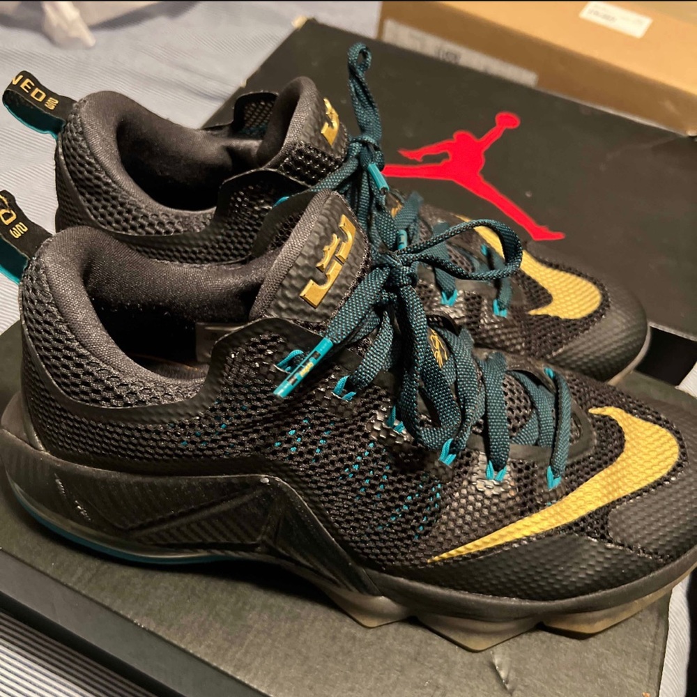 Nike Lebron 12 Low Carbon Fiber - NWOT- size 10 DS - no box - Picture 1 of 7